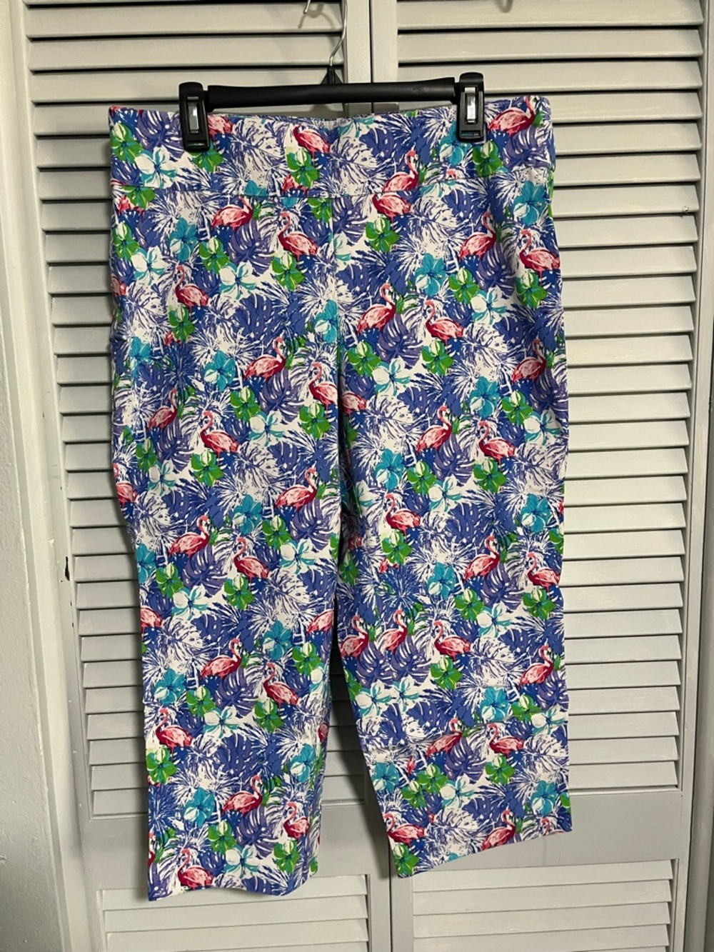 Attyre Tropical Capri Pants in Blue, Pink & Green